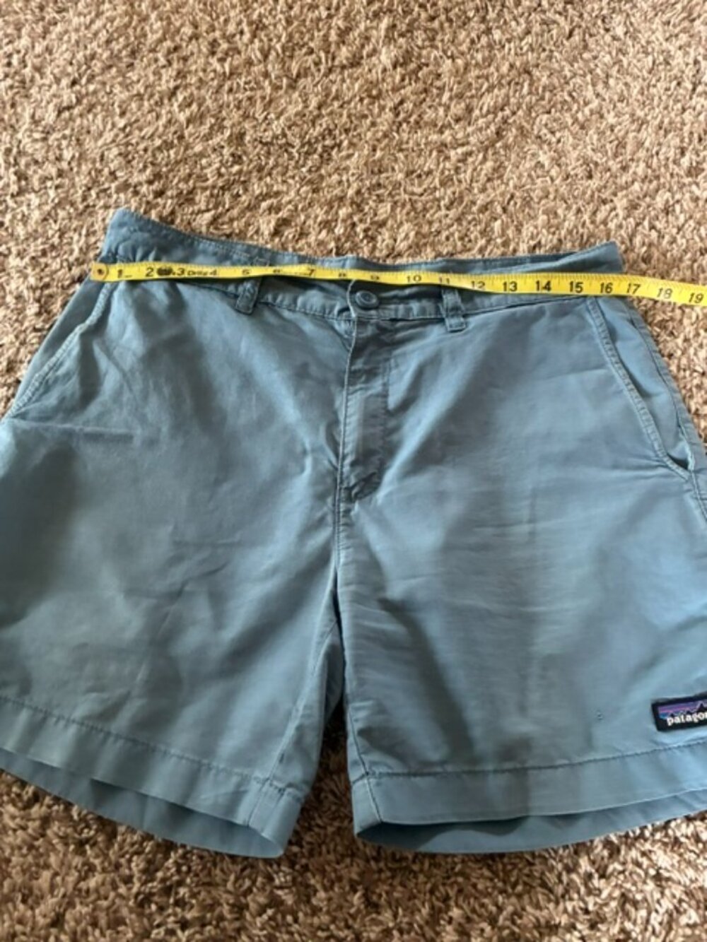 Patagonia Men's shorts, size 31